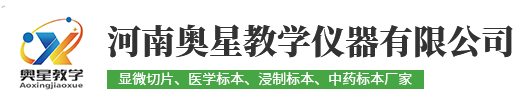氦氖激光治疗机